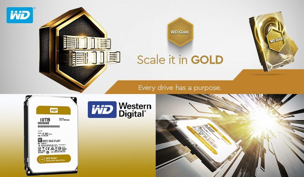 Western Digital Gold 10TB Datacenter Hard Disk