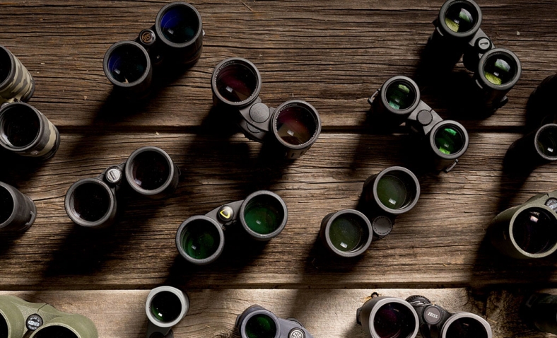 34% off!  Bushnell Legend L-Series 10x42mm Binoculars $141.99