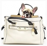 60% OFF!  COACH Colorblock Coach Swagger 37 $279.99