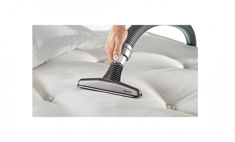 Ending soon! 42% off!  Dyson Ball Animal Complete Upright Vacuum with Bonus Tools, Fuchsia (Certified Refurbished)  $262.00