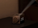 Sony ICFC1PJ Alarm Clock Radio $31.99