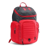 24% off!  Under Armour Storm Undeniable II Backpack $52.99